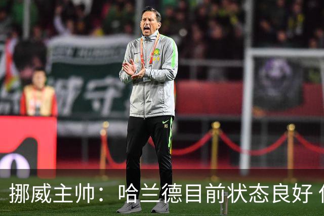 挪威主帅：哈兰德目前状态良好 他是世界上最好的射手